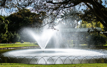Jardín Botánico de Bogotá. Foto de Photodaniel